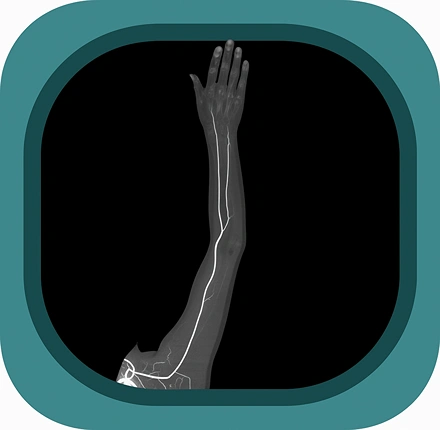 CTA upper limb anatomy icon
